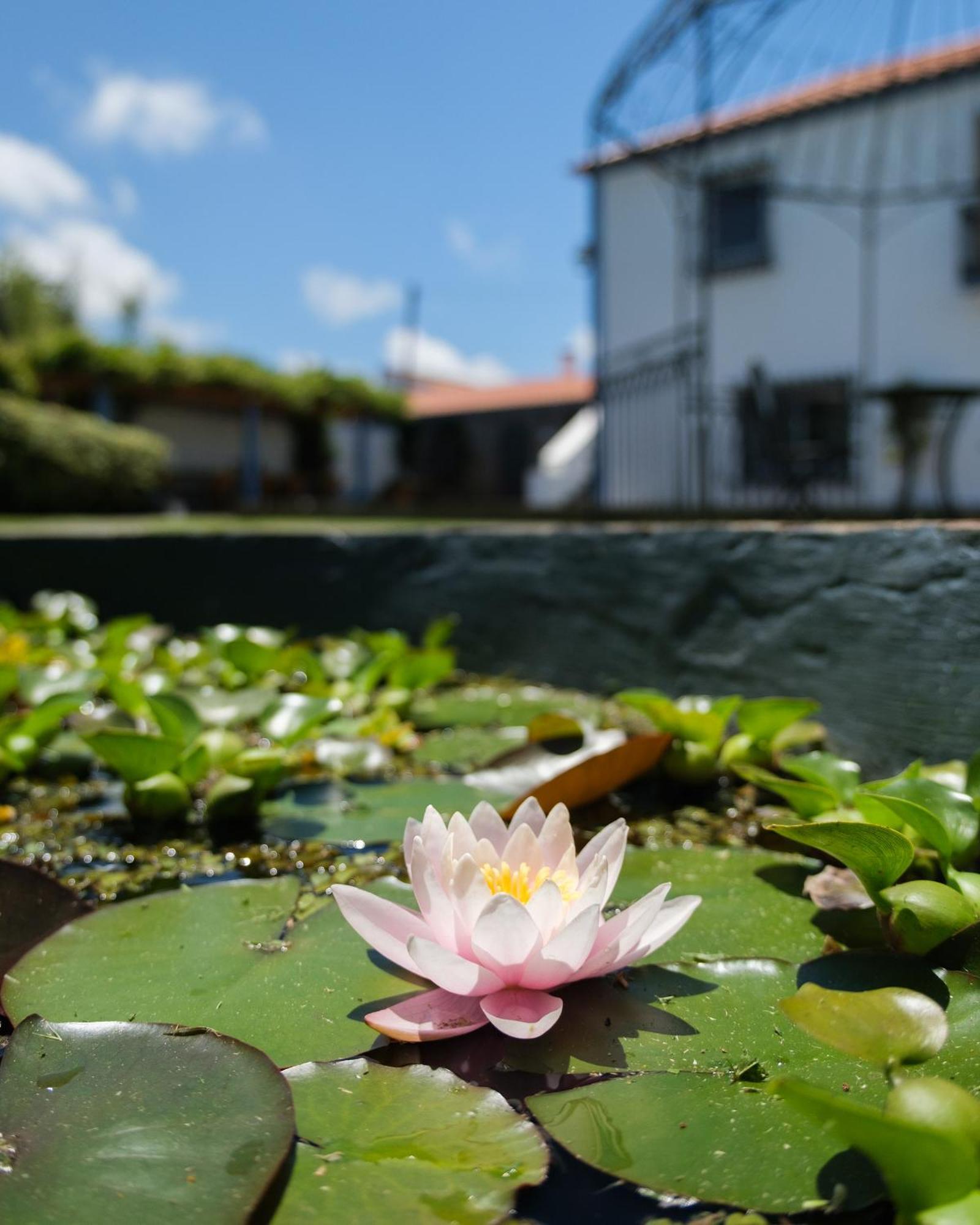 Quinta Morazes Casas De Campo 大里贝拉 外观 照片