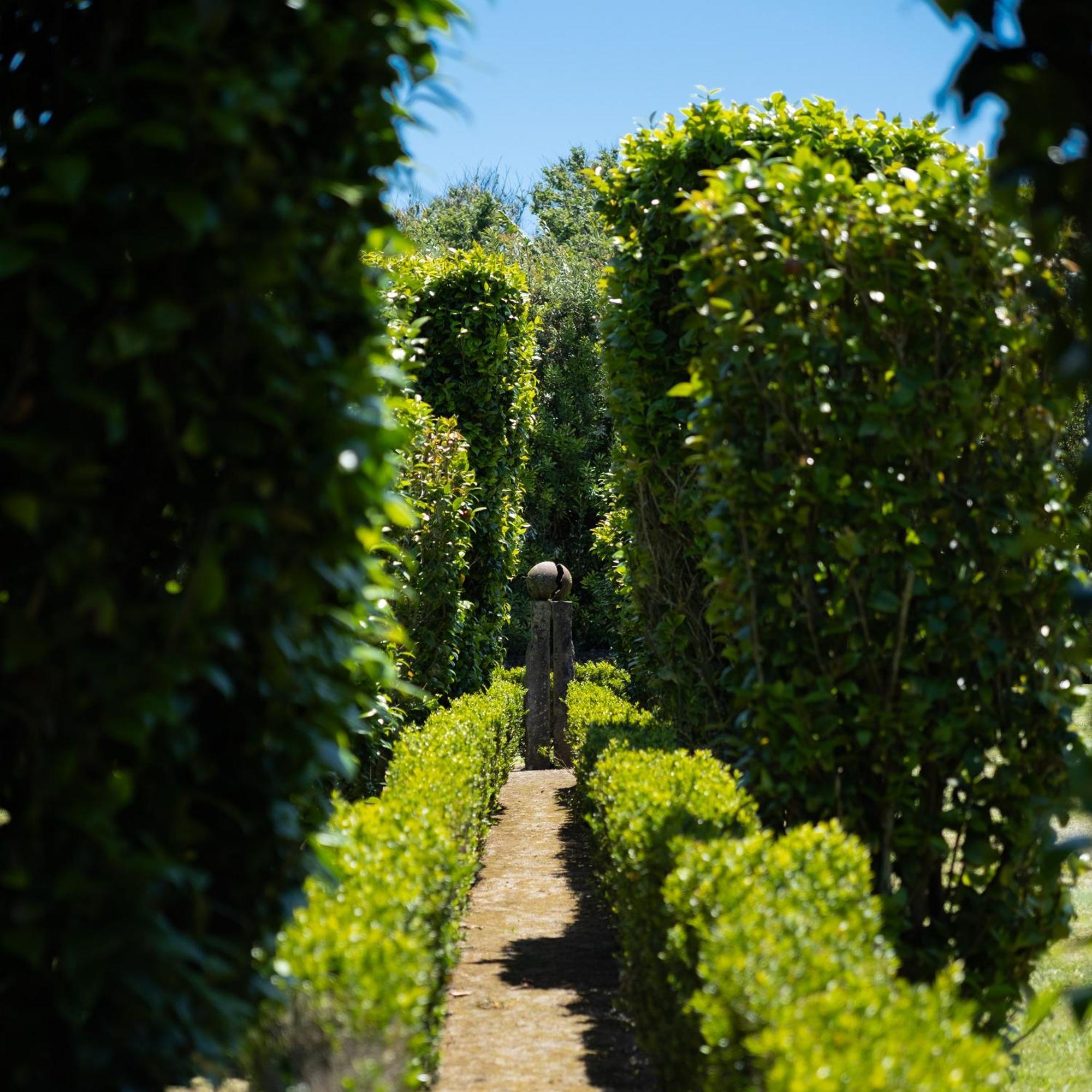 Quinta Morazes Casas De Campo 大里贝拉 外观 照片
